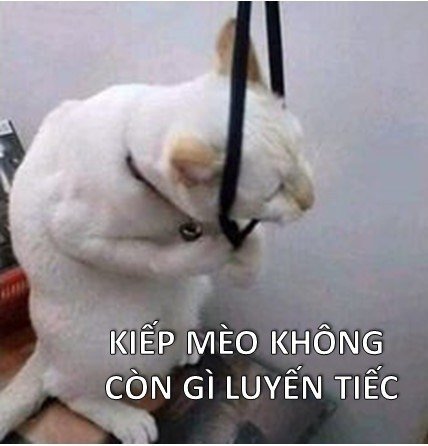 KIEP-MEO.jpg