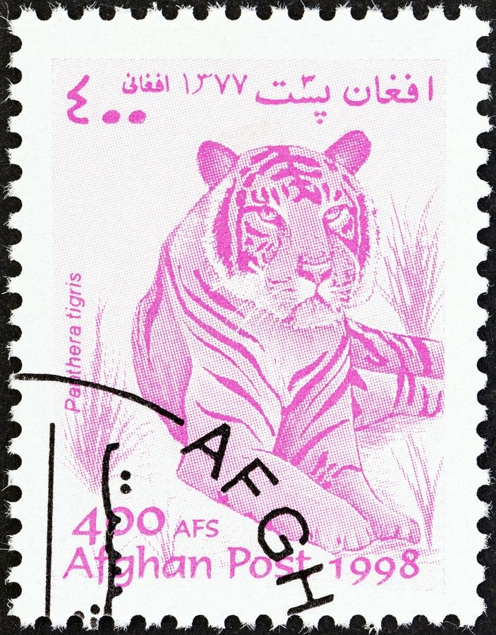 afghanistan-circa-stamp-printed-afghanistan-wildlife-issue-shows-tiger-panthera-tigris-circa-a...jpg