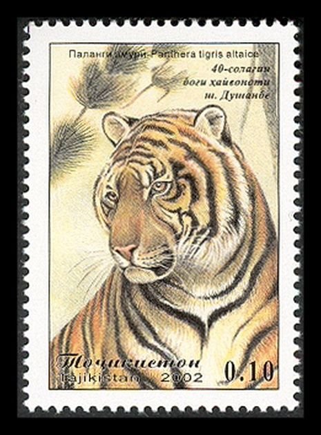 2e513e905b1ecdaa113f3ccdfb31bd81--felidae-stamp-collecting.jpg