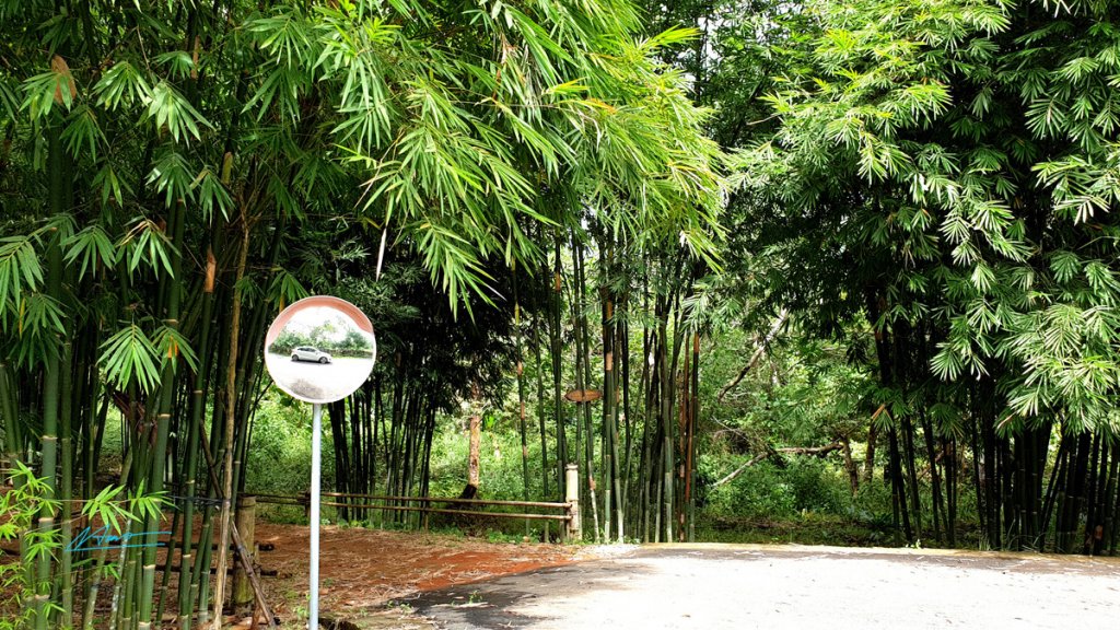 TVH's pic - Madagui Forest City, Da Huoai, Lam Dong - 301218 (35).jpg