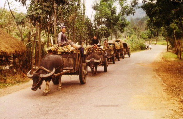 mien-bac-truoc-1975-giaoducvietnam-3.jpg