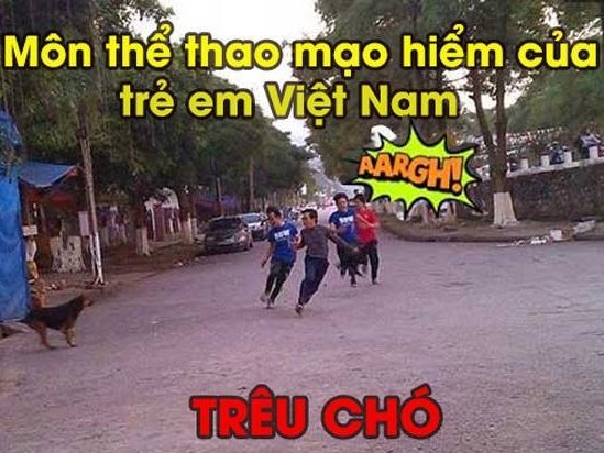 treu-cho-a.jpg