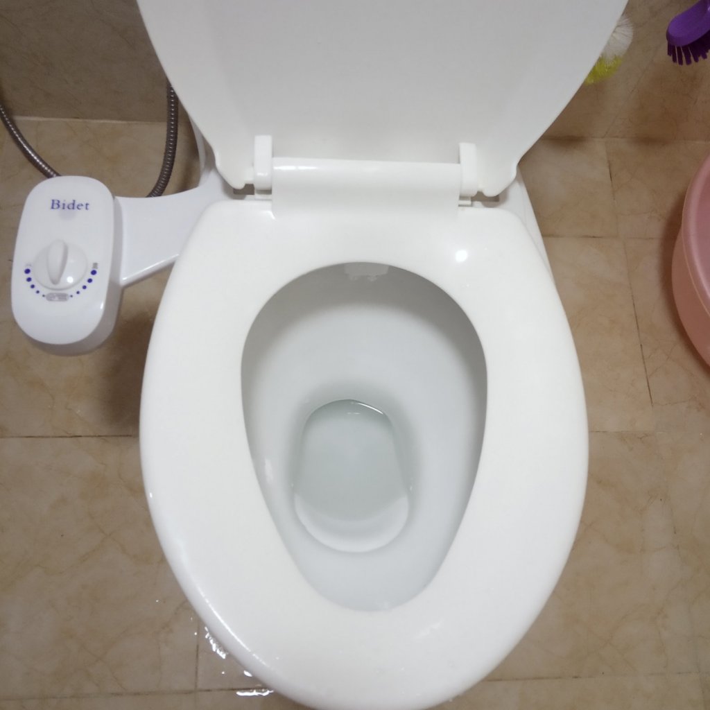 bidet 1.jpg