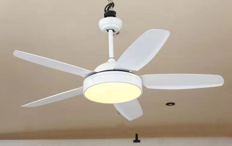 Quạt-Hiện-Đại-Cánh-Nhựa-52KJYY-50-2 (Small).jpg