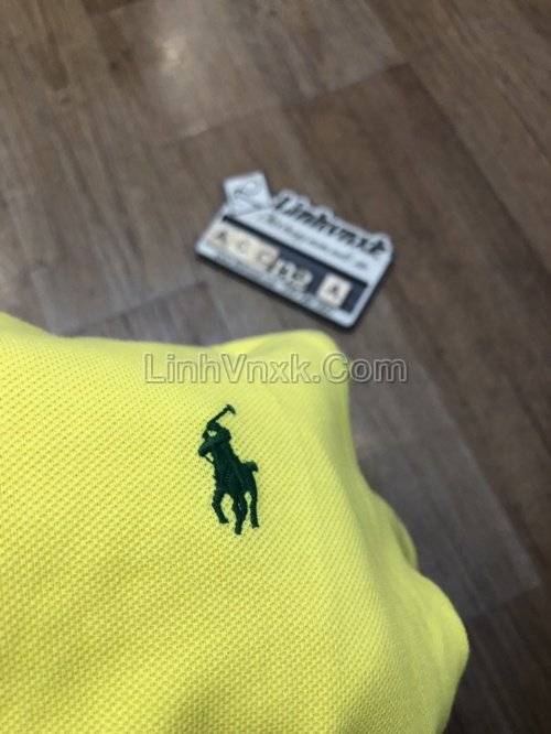 ao-polo-ralph-lauren (18).jpg