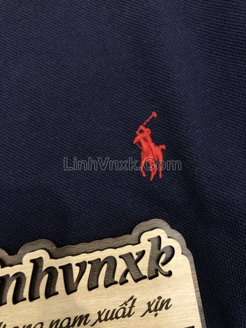 ao-polo-ralph-lauren (29).jpg