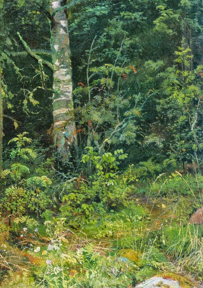 Ivan Shishkin - _____ _______ Tutt'Art@ (6).jpg