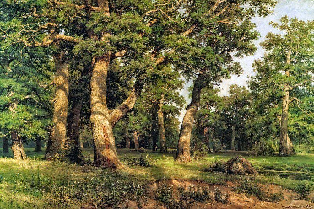 Ivan Shishkin - _____ _______ Tutt'Art@ (24).jpg