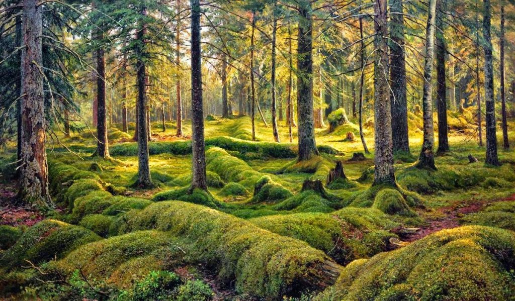 Ivan Shishkin - _____ _______ Tutt'Art@ (39).jpg