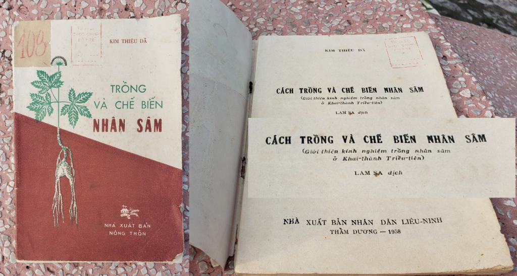 Trong va che bien nhan sam o Khai Thanh - Copy.png