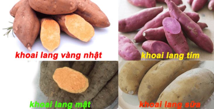 khoai-lang.png