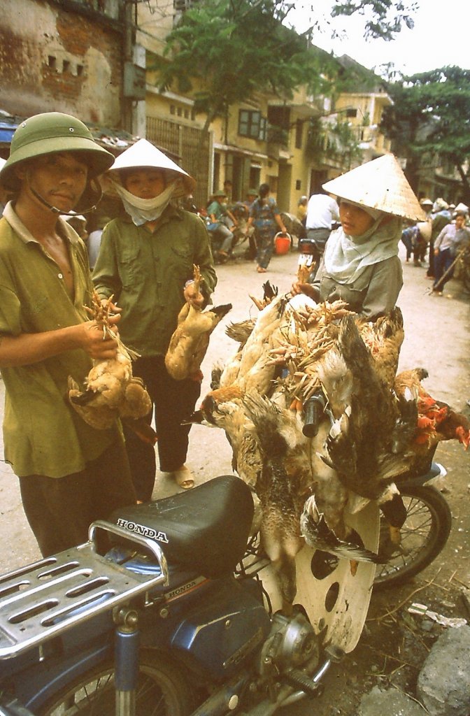 Vietnam-1995-Andy-Tarica-10.jpg