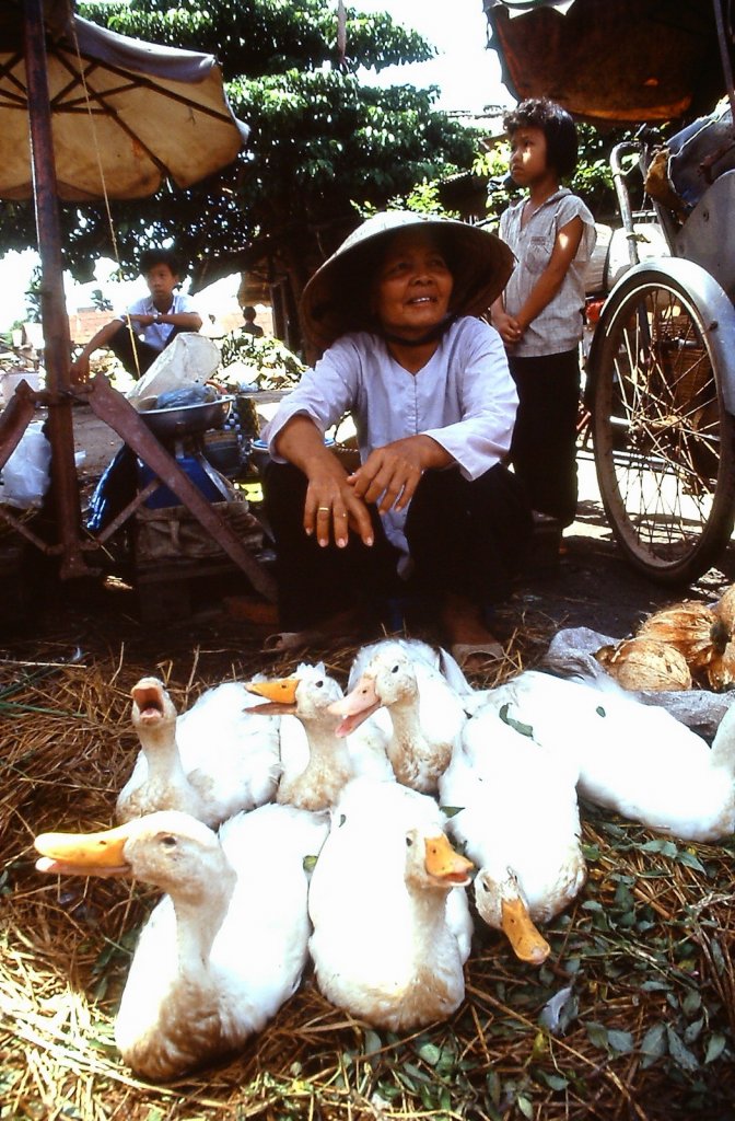 Vietnam-1995-Andy-Tarica-22.jpg