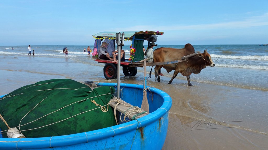 TVH's pic - Lagi beach, Binh Thuan, Vietnam - 010717 (6).jpg