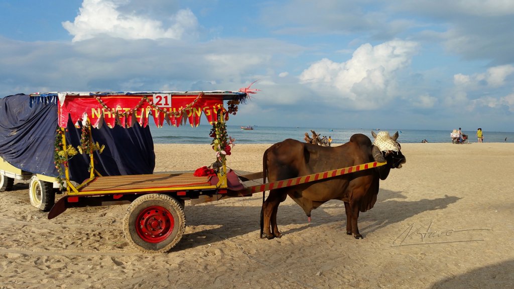 TVH's pic - Lagi beach, Binh Thuan, Vietnam - 010717 (1).jpg