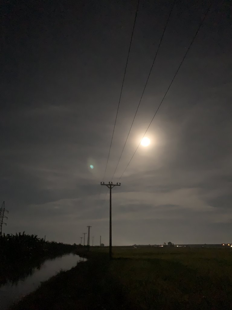 5FE266FC-B061-48BA-878C-A87E2EEB1EA1.jpeg