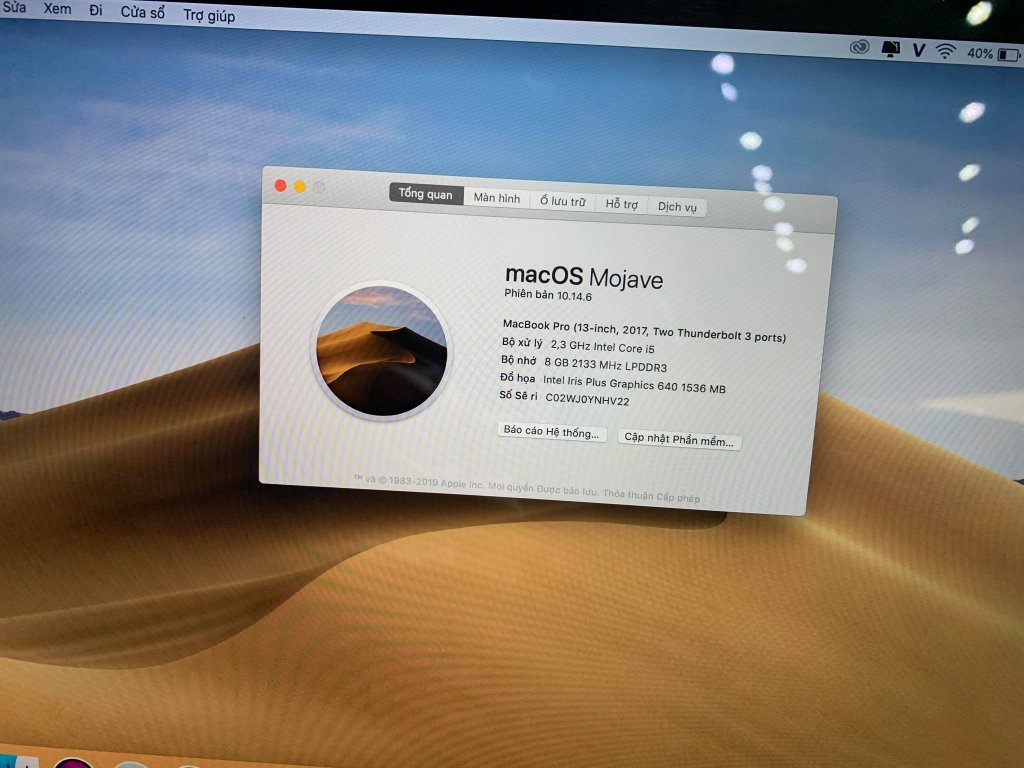205248808_518932665817918_5914501929777121559_n.jpg