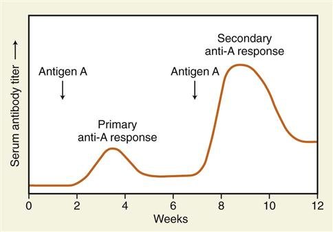 xt-antigendev.jpg