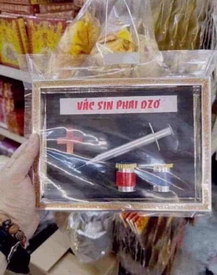 vacin vàng mã.jpg