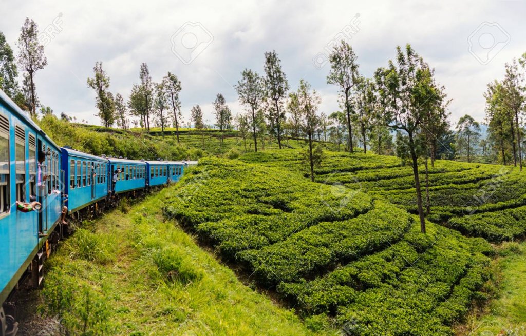 95992728-train-ride-from-ella-to-kandy-among-tea-plantations-in-the-highlands-of-sri-lanka.jpg