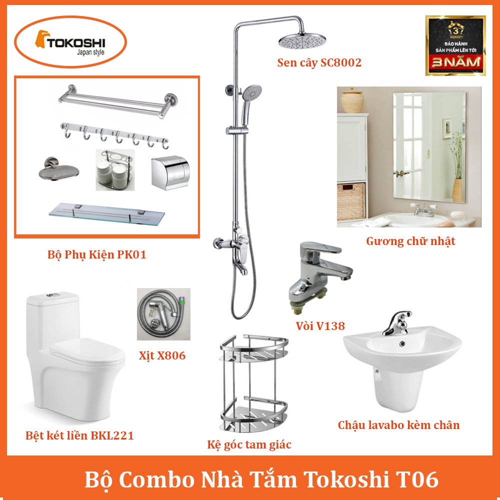 combo T06.jpg