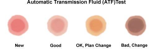 transmission-fluid.jpg