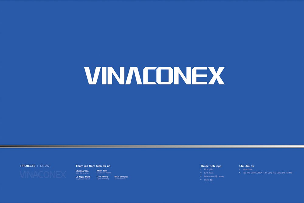 Vinaconex 1.jpg