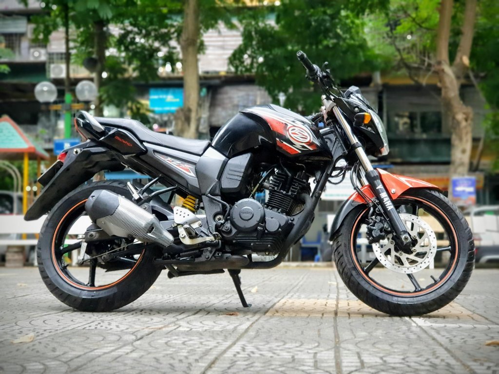 FZ  (3).jpg