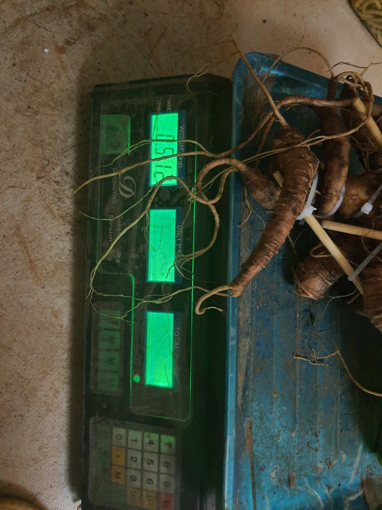 20211204_224020.jpg