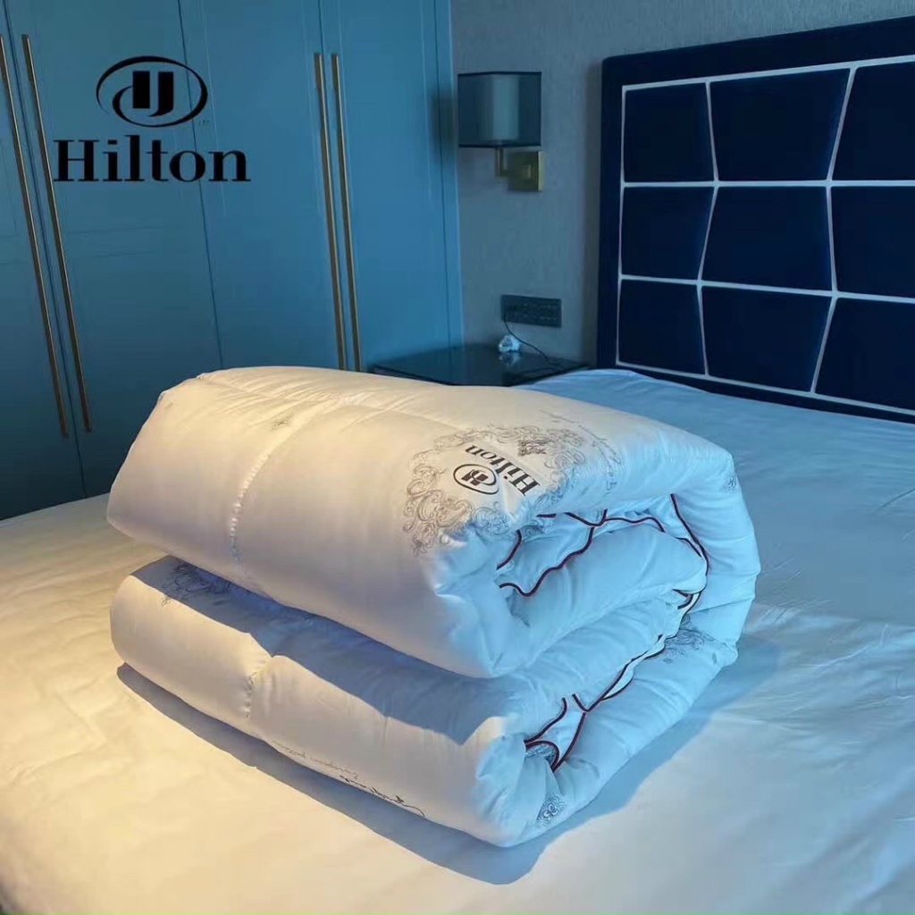 Hilton nhập.jpg