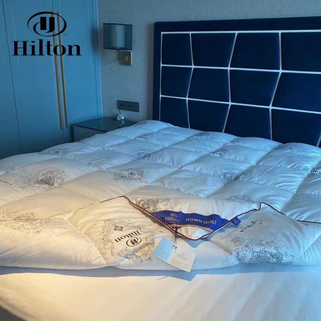 Hilton nhập2.jpg