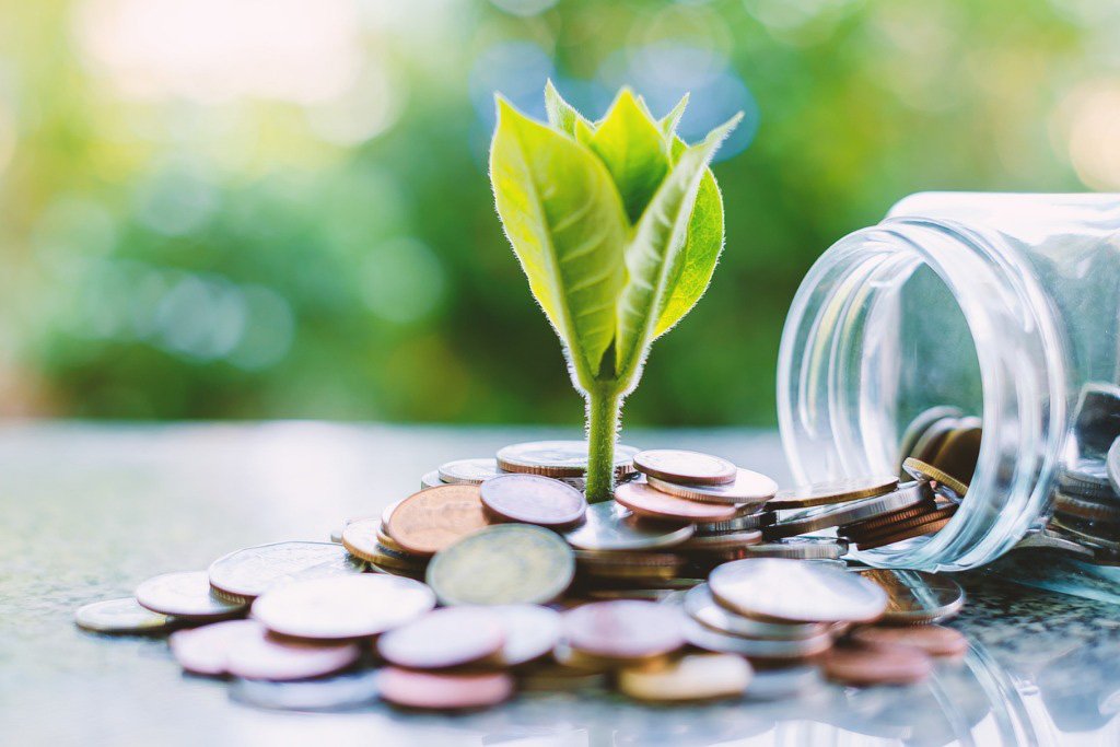 plant-growing-from-coins-outside-the-glass-jar-on-blurred-green-for-picture-id921527422-157477...jpg