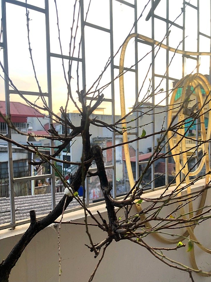 85E2FEB6-A82E-4ACD-90F0-82C890DE957D.jpeg