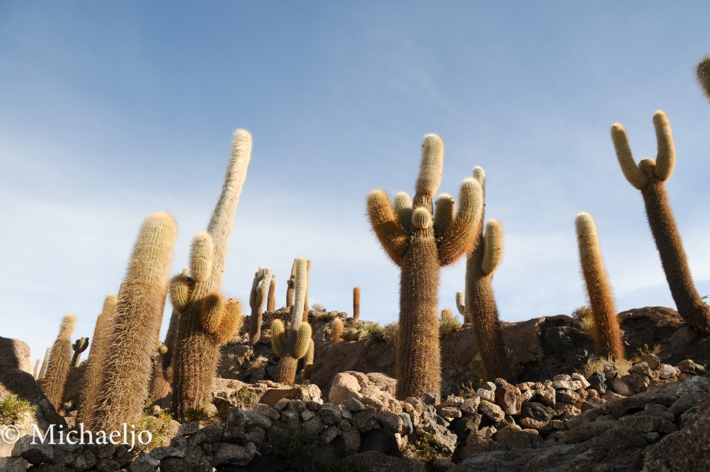 md-uyuni-66.jpg