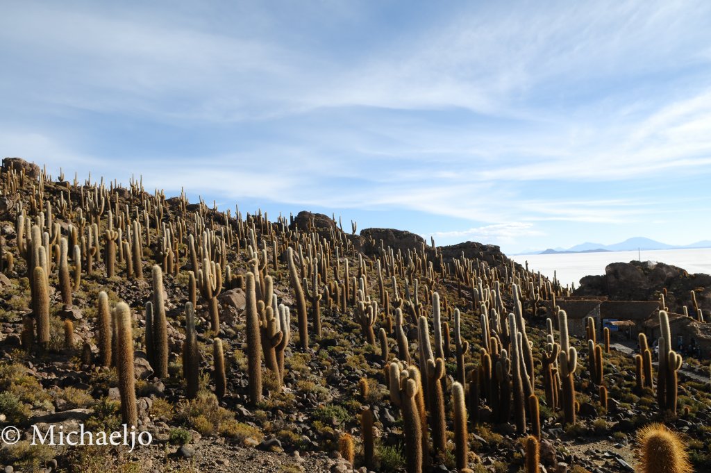 md-uyuni-67.jpg