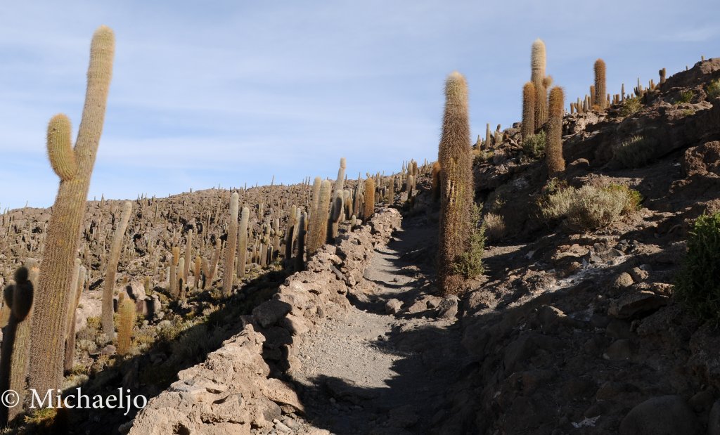 md-uyuni-69.jpg