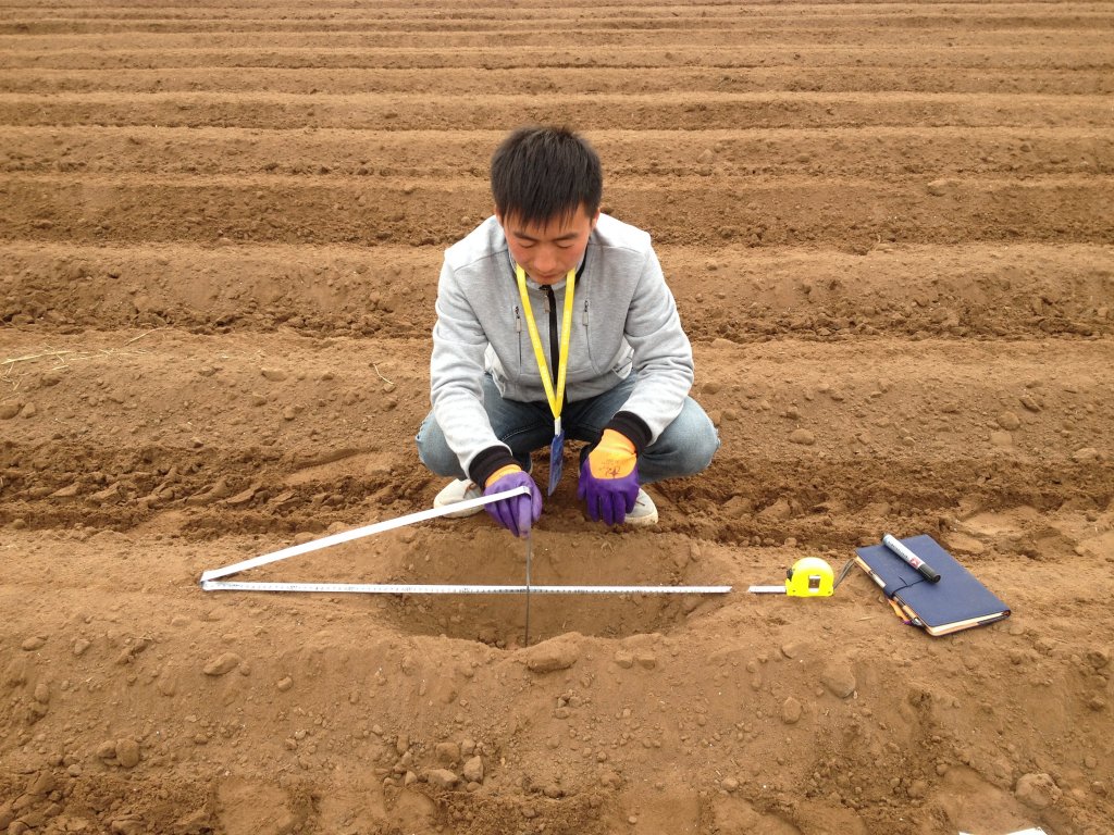 sand-field-play-floor-land-asphalt-soil-baseball-field-playground-character-flooring-measuring...jpg