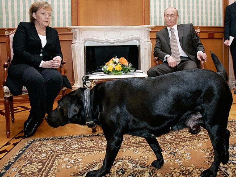 merkel-putin-dog_3546989b_zvkb (1).jpg