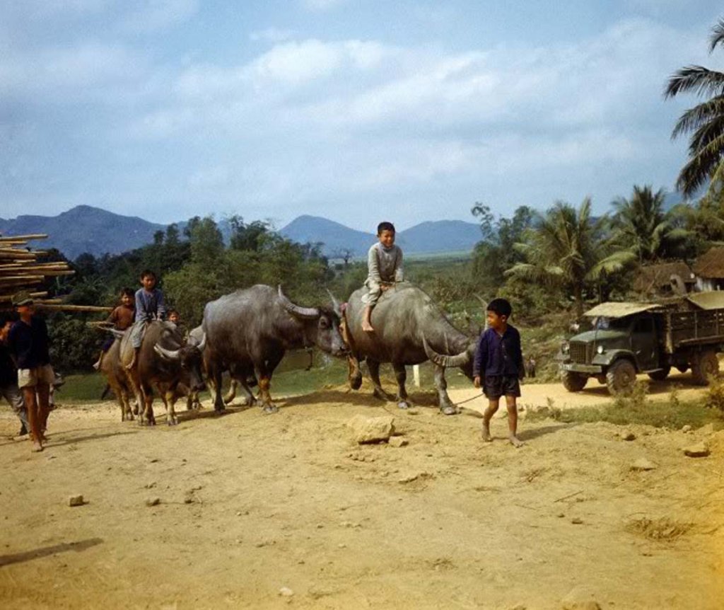 Việt Nam 1973 (1_90).jpg