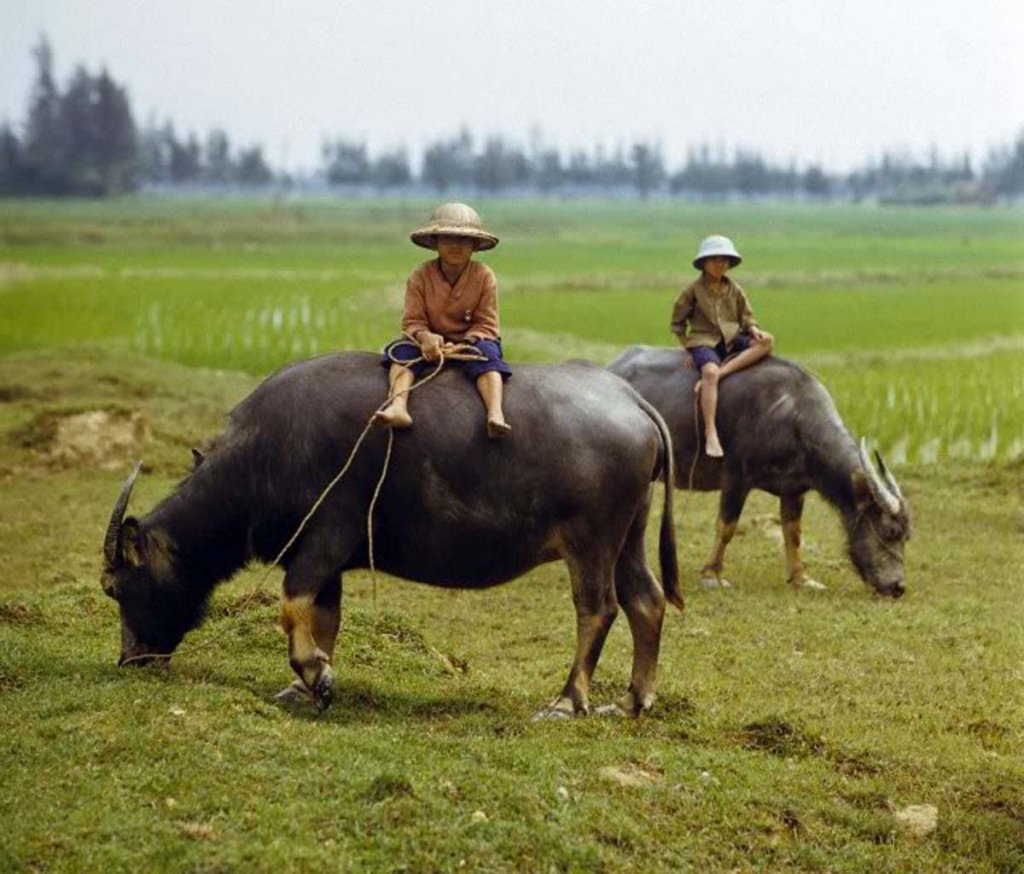 Việt Nam 1973 (1_91).jpg