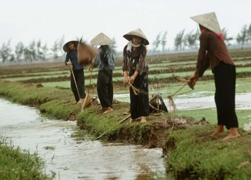 Việt Nam 1973 (1_106).jpg