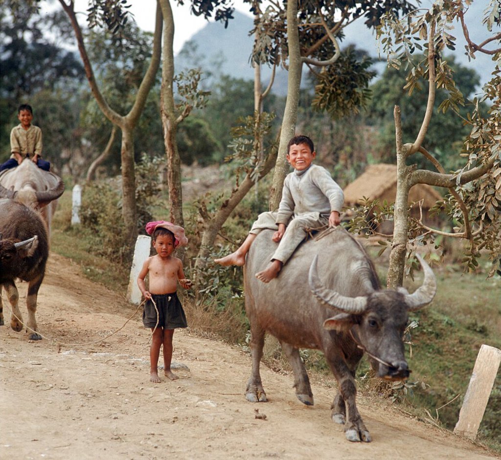 Việt Nam 1973 (1_127).jpg