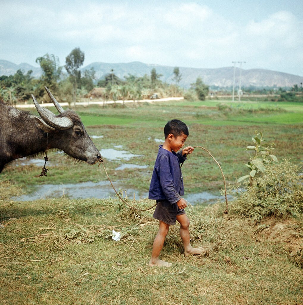 Việt Nam 1973 (1_128).jpg