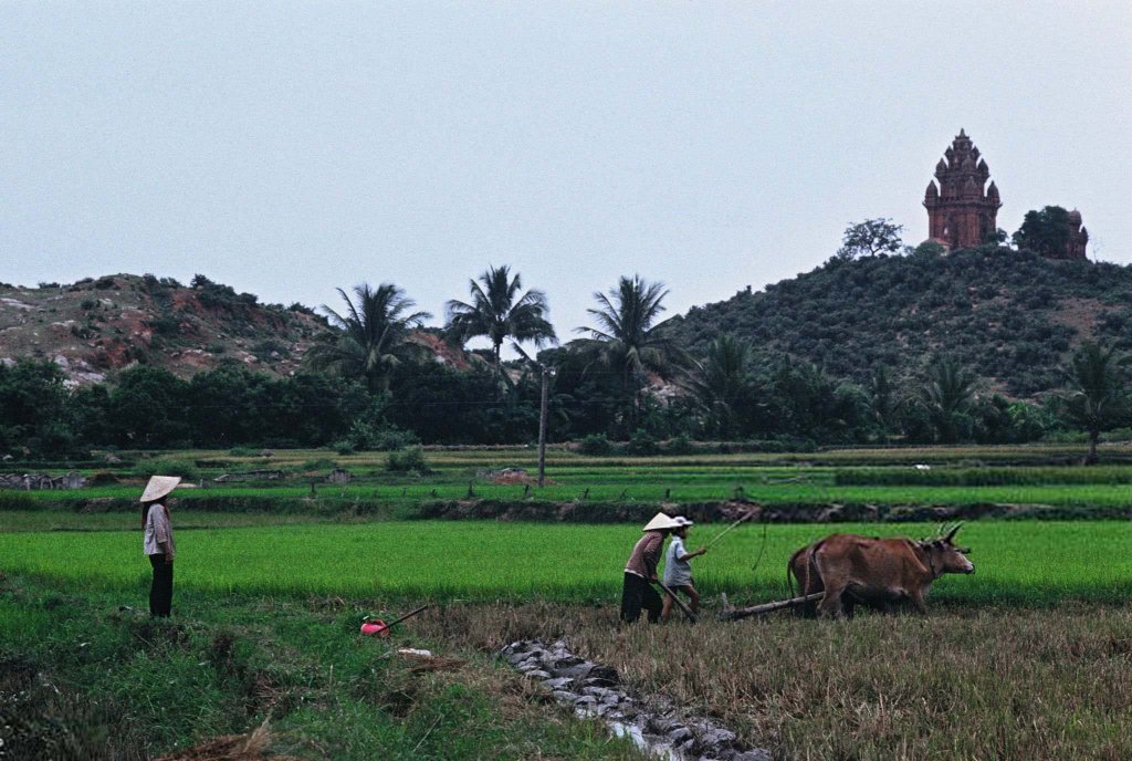 Việt Nam 1994 (16).jpg