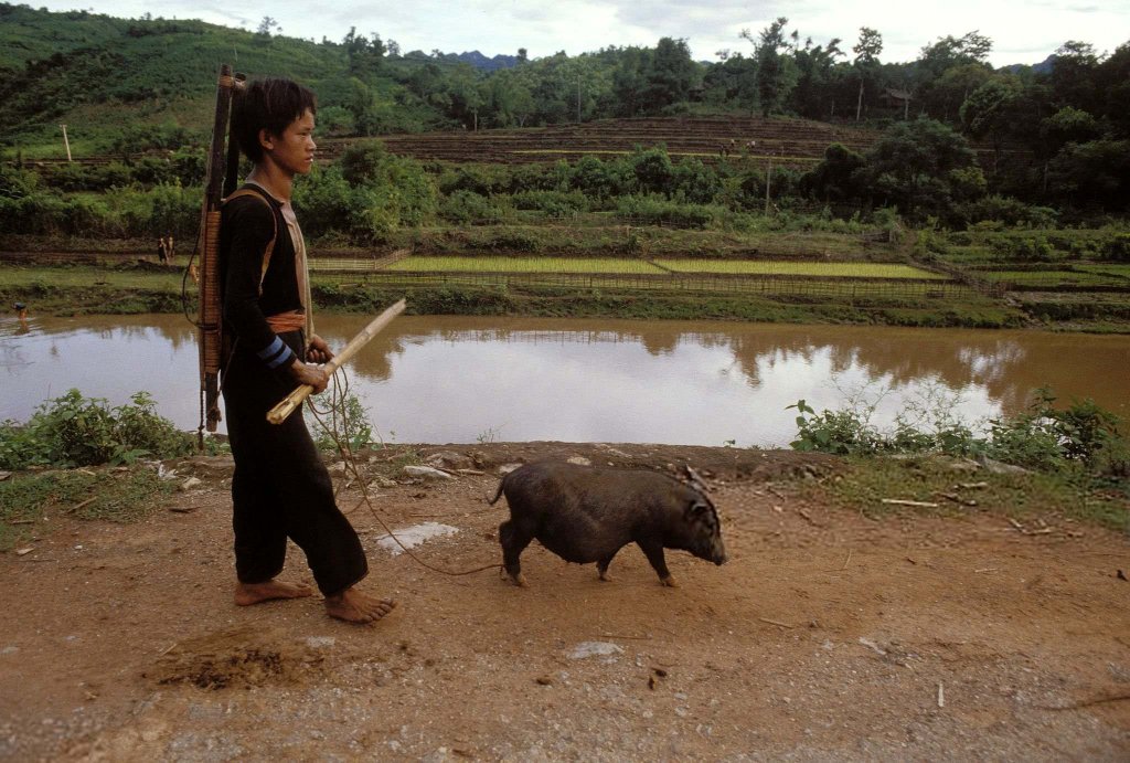 Việt Nam 1994 (91).jpg