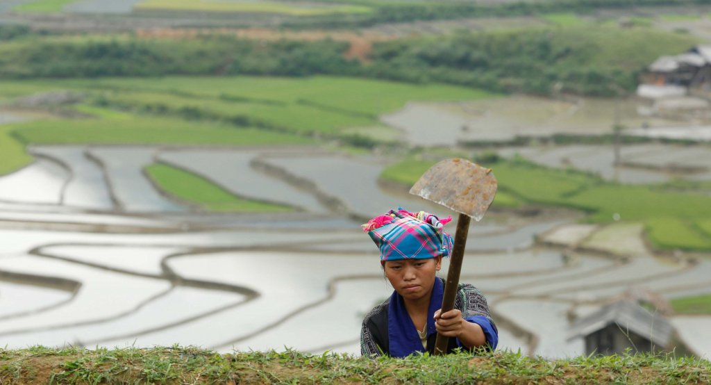 Viet Nam 2016_6_6 (1).jpeg