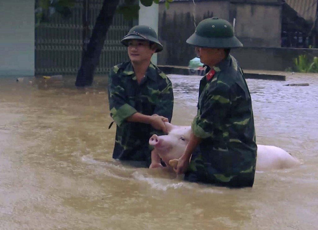 Viet Nam 2017_10_11 (1) Lụt.jpeg