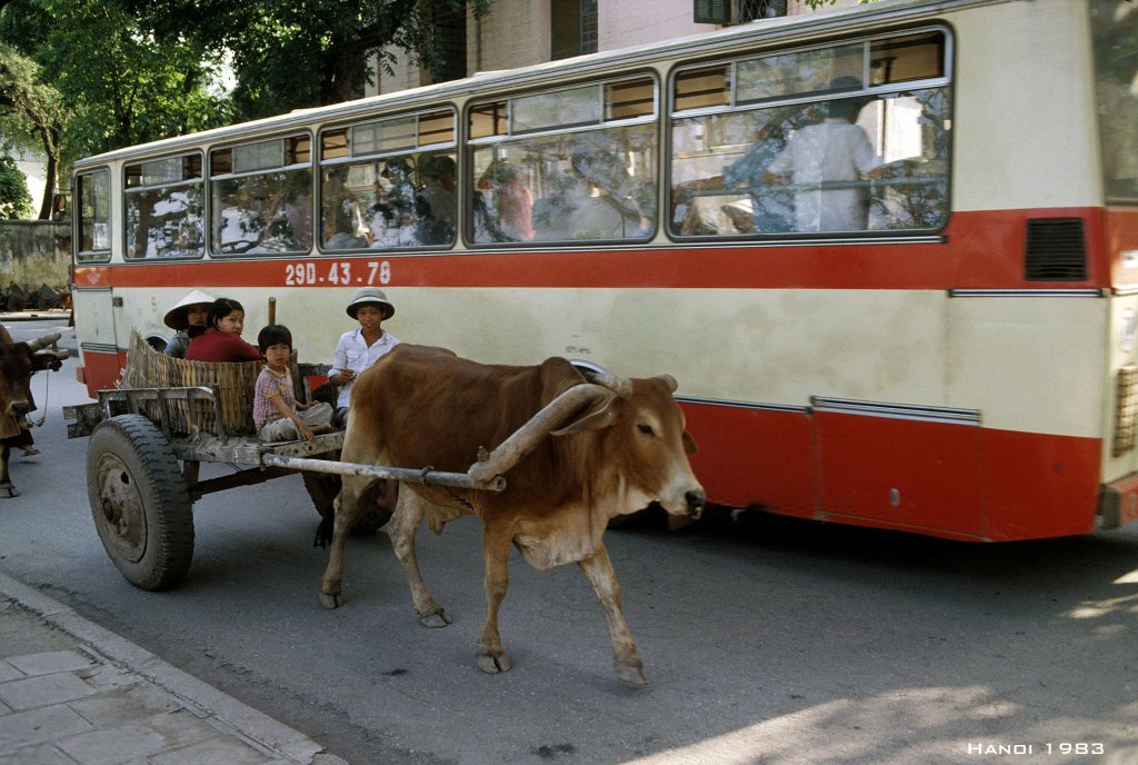 Việt Nam 1983 (x2).jpg