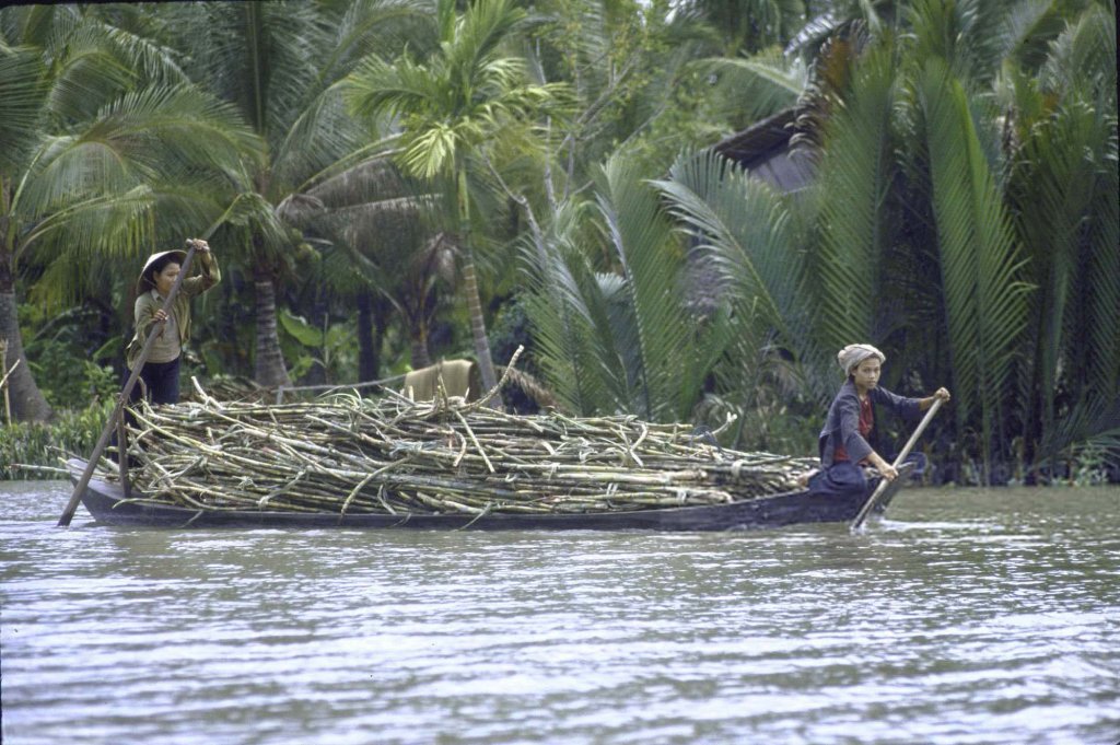 Việt Nam 1985 (13).jpg