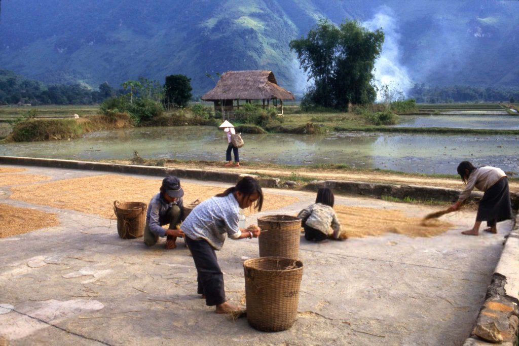 Việt Nam 1987 (18a).jpg